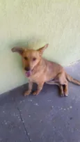 Bob