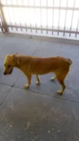 Bob