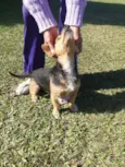 XERIFINHO