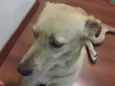 Sem nome ainda