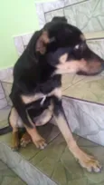 Luke