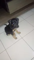 Não tem nome