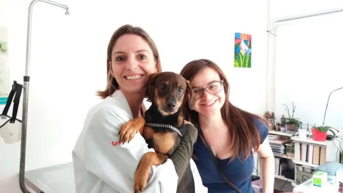 Cachorro ra a  idade 2 a 6 meses nome Bob