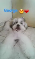 George