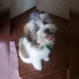 George
