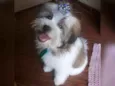 George
