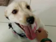 Lili