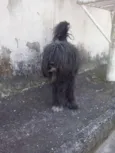 ?