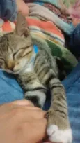 Benny