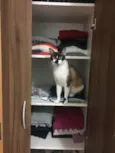 Nina