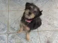 Princesa