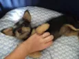 Princesa