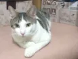 William