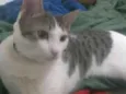 William