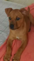Vitória