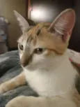 Clara