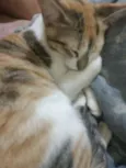 Clara