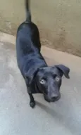 Luna e Spaike