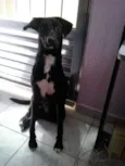 Luna e Spaike