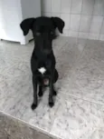 Luna e Spaike