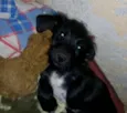 Théo