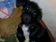Théo