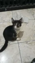 Thomas