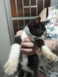 Thomas