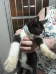 Thomas
