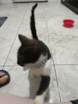 Thomas