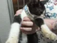 Thomas