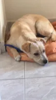 Bob