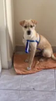 Bob