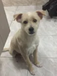 Bob