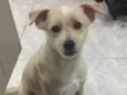 Bob