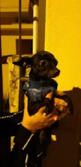 Não sabemos