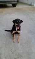 Ágatha