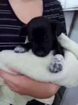 Neguinho 