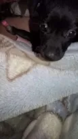 Neguinho 