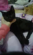 Batmam