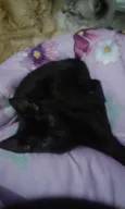 Batmam