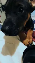 Nico