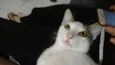 Félix