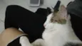 Félix