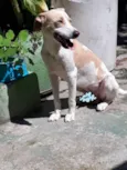 Marley