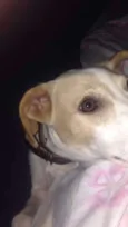Marley