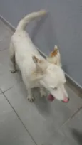 Não sei
