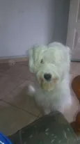 Boby