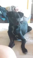 Ekko