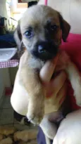 Fantasma, negão